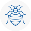 Bed Bug Extermination In Mexborough
