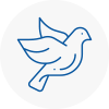 Bird Prevention Mexborough