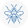 Mexborough Hornet Nest Removals
