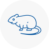 Rat Control Mexborough